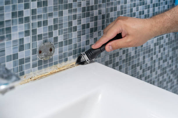Best Mold Damage Repair  in Verona, PA
